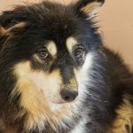 貴浩(たかひろ)